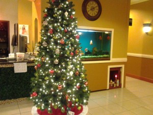 Christmas tree at Pho Duy Tan
