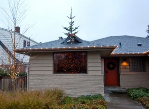 Christmas tree busts through roof in Seattle